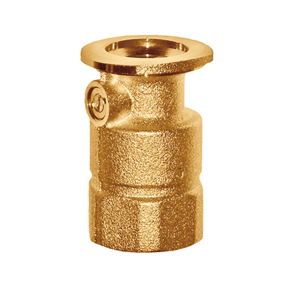 Flamco Meibes – Supapă de sens SB F, 1″–1 1/4″, cu flanșă și filet interior